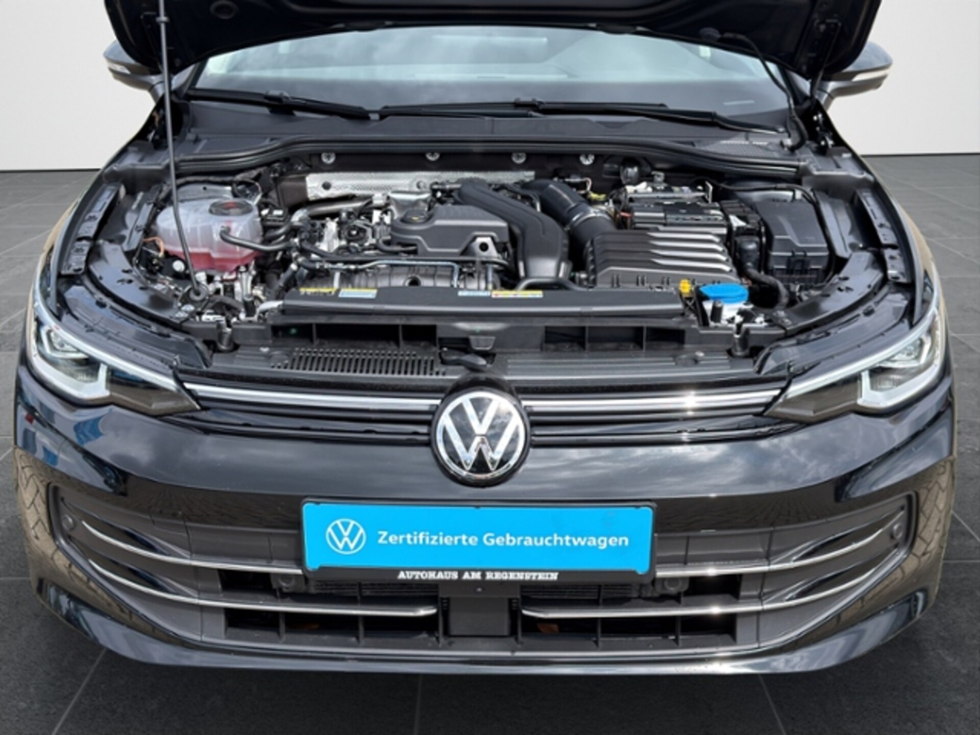 Volkswagen Golf Variant Goal