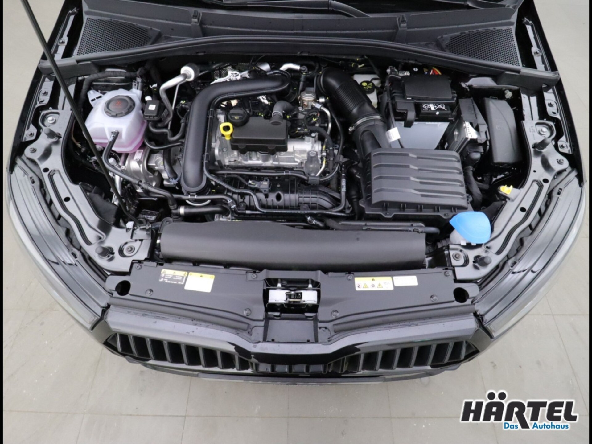 Skoda Fabia Monte Carlo