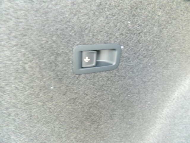 Bild des Autos 21