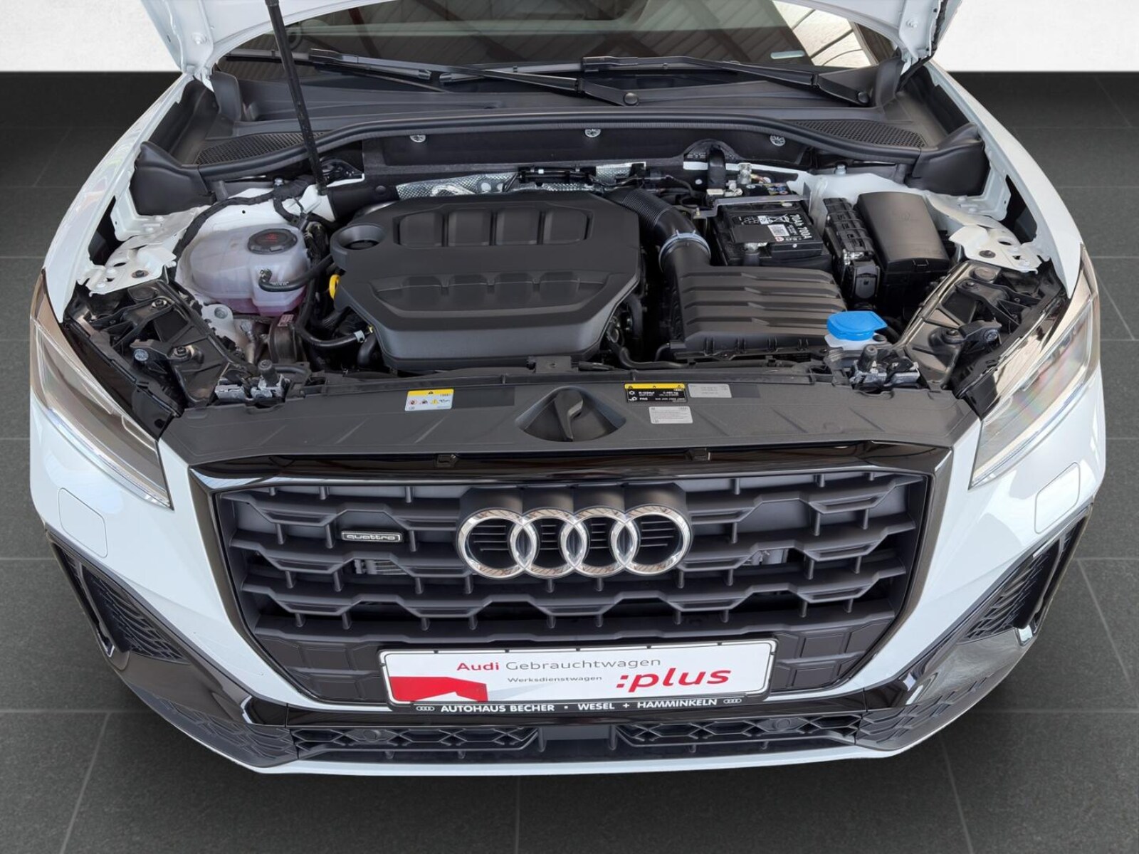 Audi Q2 – Bild 17