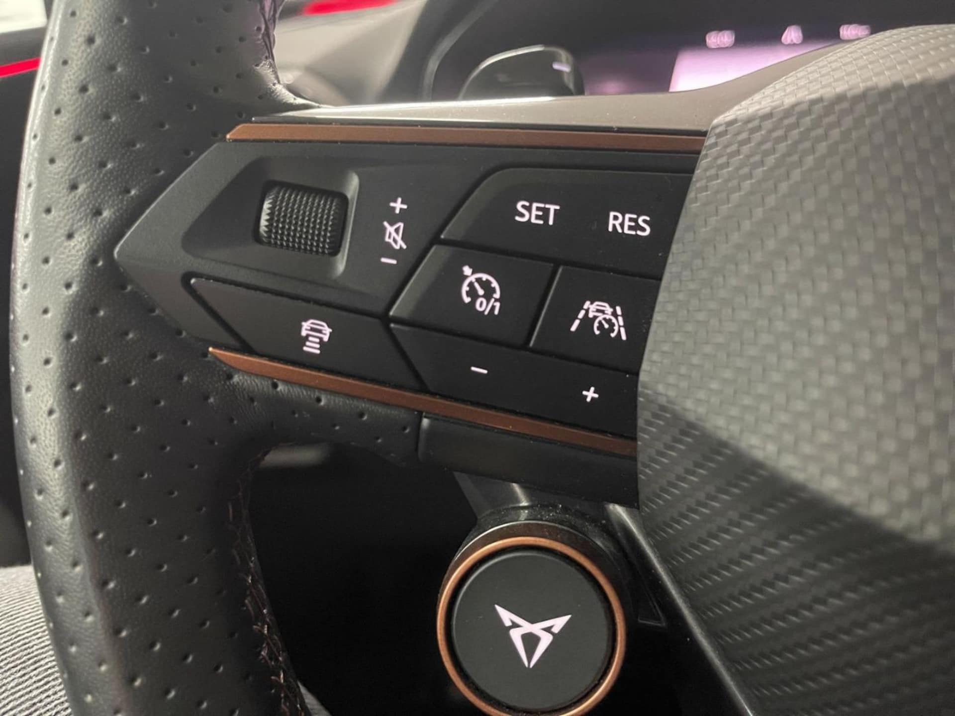 CUPRA Leon Sportstourer VZ