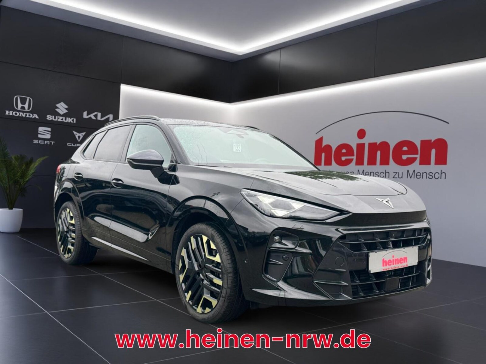 CUPRA Terramar – Bild 2