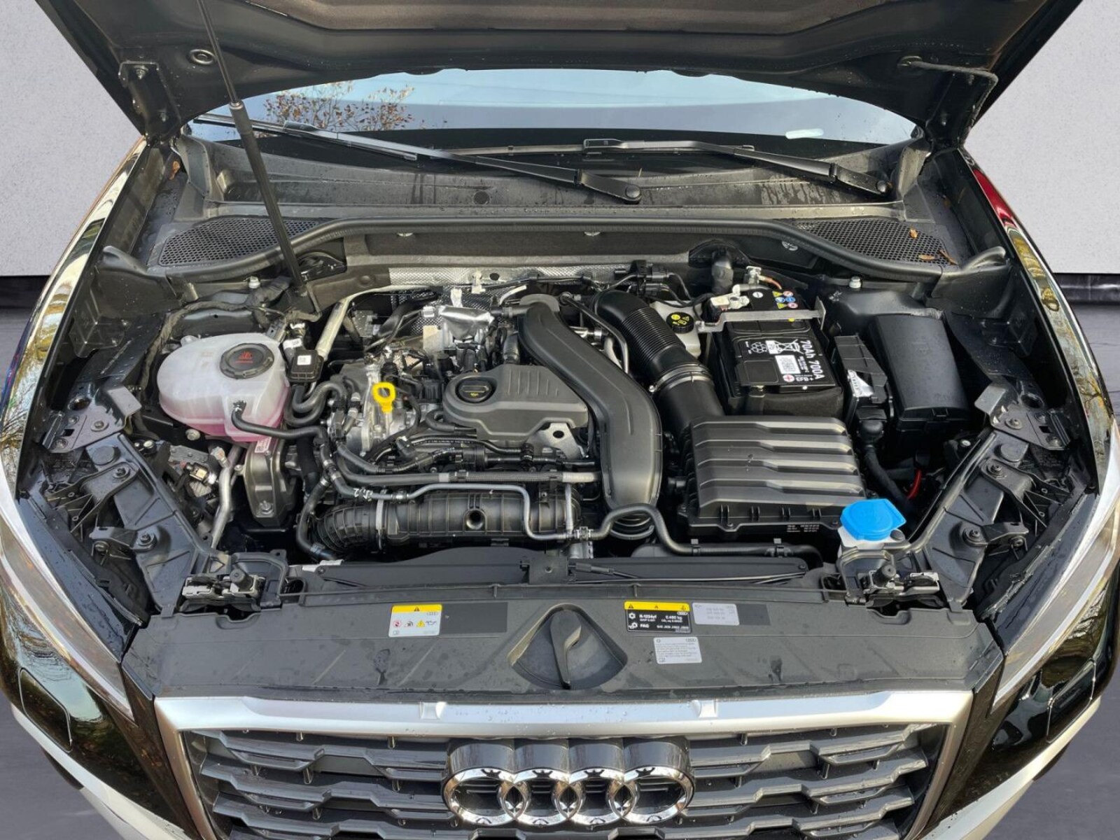 Audi Q2 – Bild 11