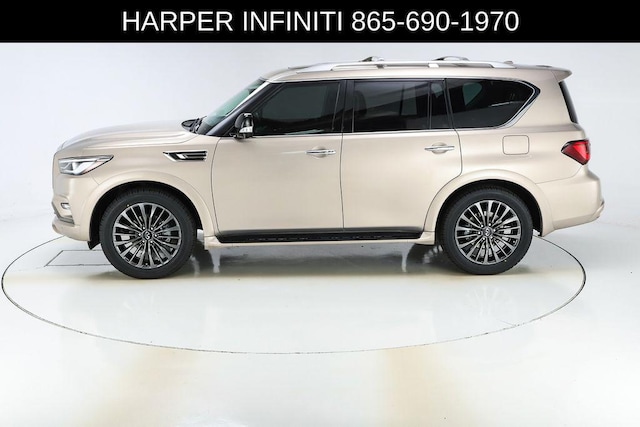 2023 Infiniti QX80