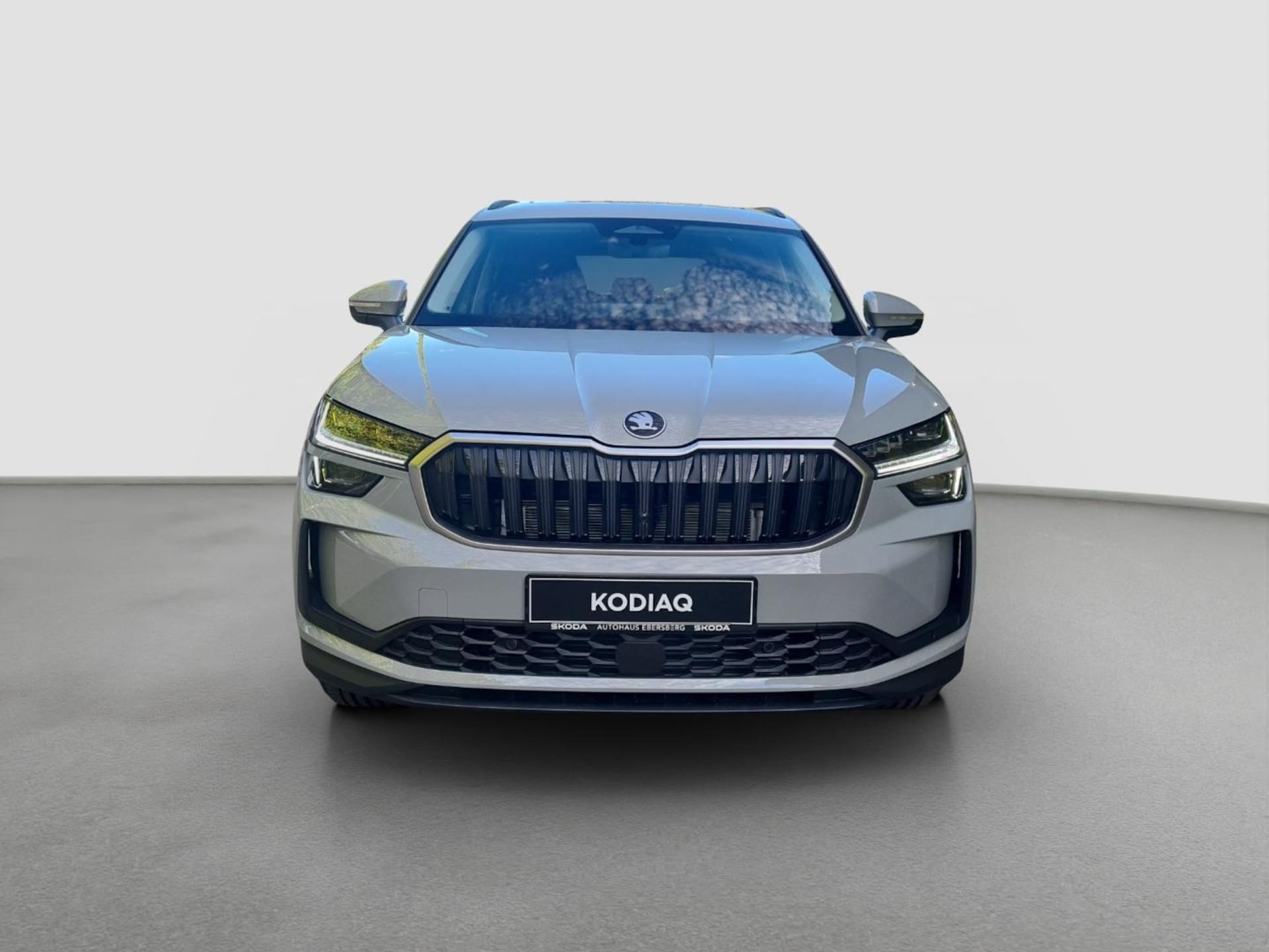 Skoda Kodiaq Selection