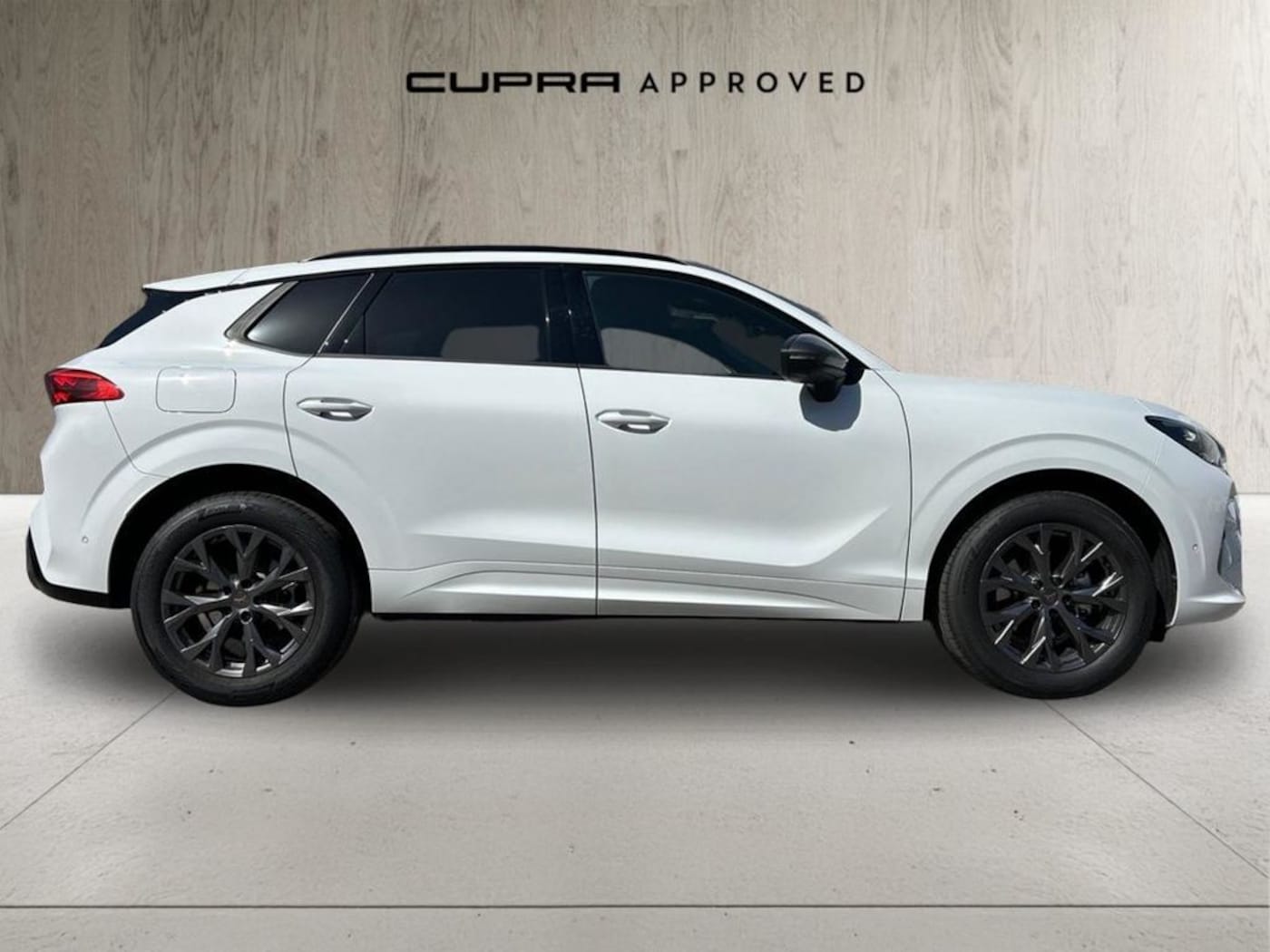 CUPRA Terramar 1.5 eTSI DSG 110 kW (150 CV) — photo 3