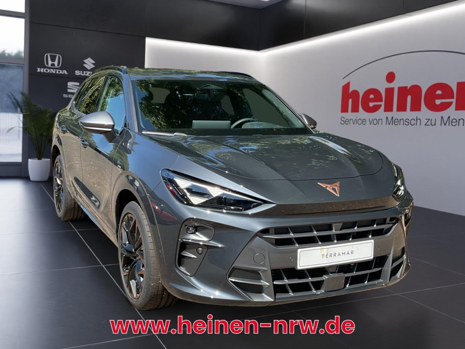 CUPRA Terramar – Bild 2