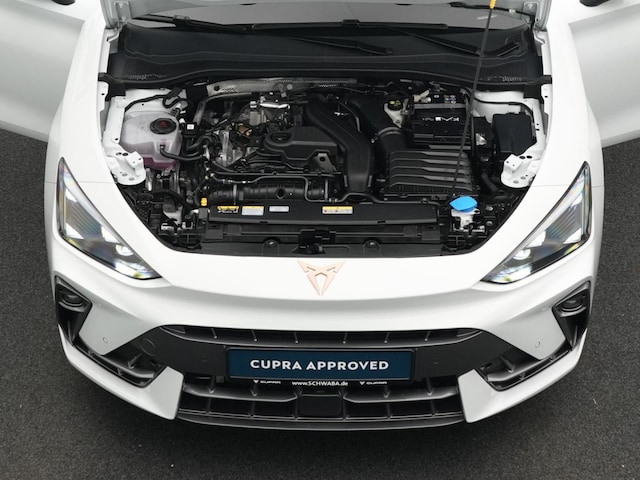 Bild des Autos 29