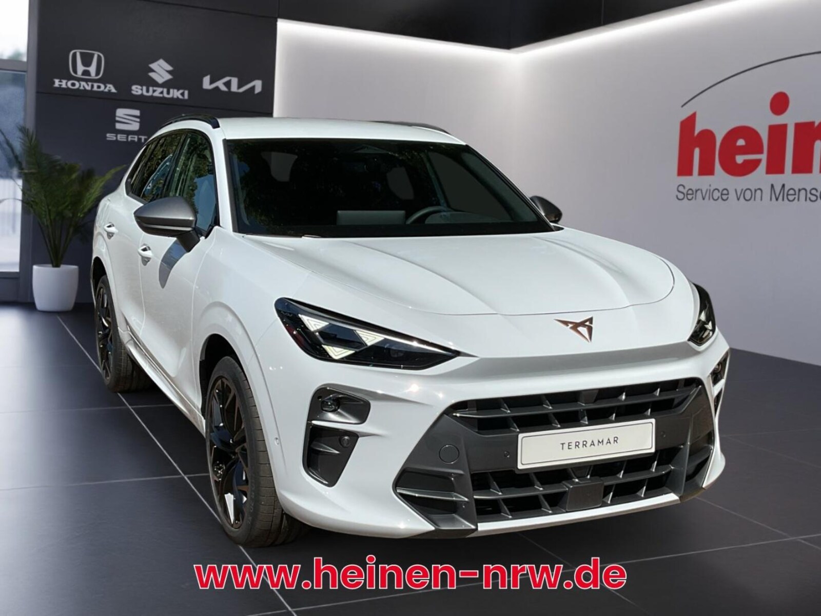 CUPRA Terramar – Bild 2