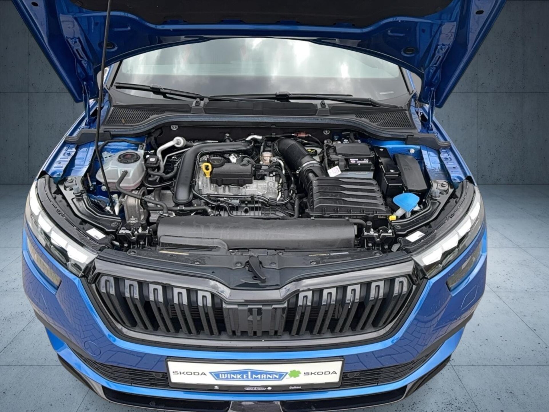 Skoda Kamiq Monte Carlo