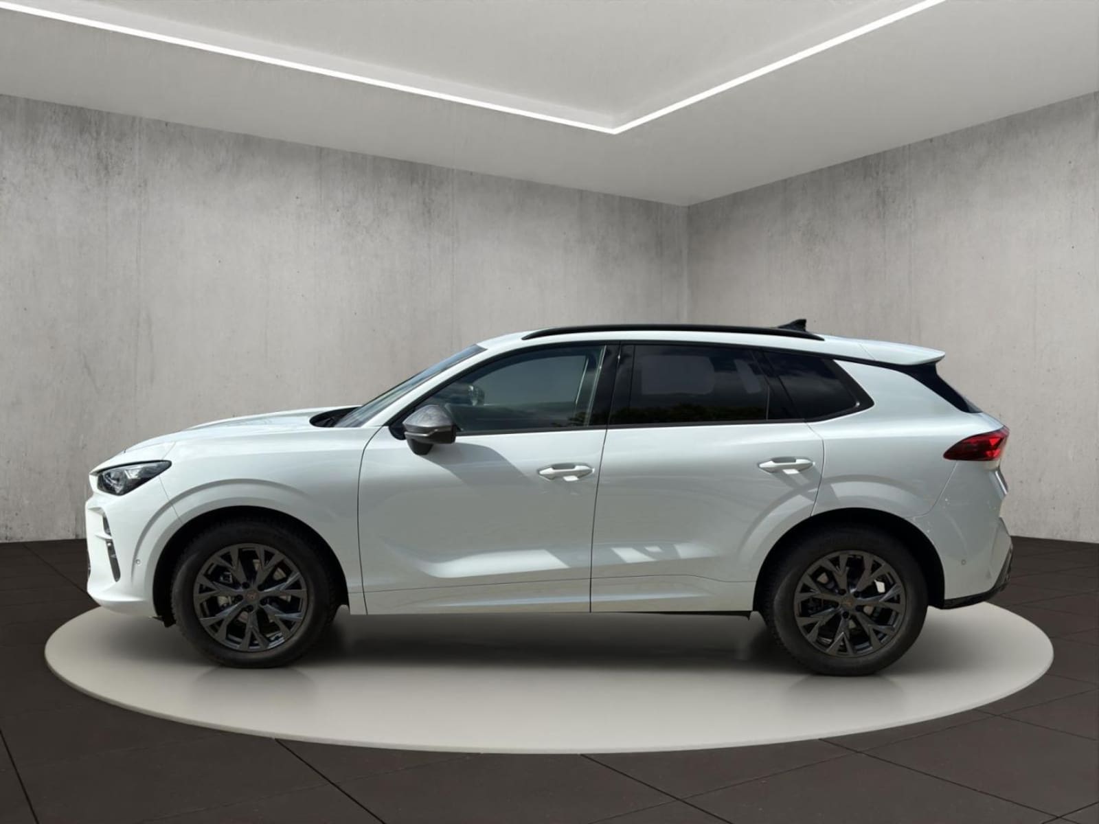 CUPRA Terramar – Bild 2