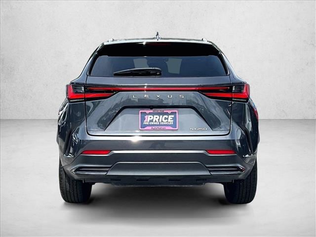 2025 Lexus NX 250