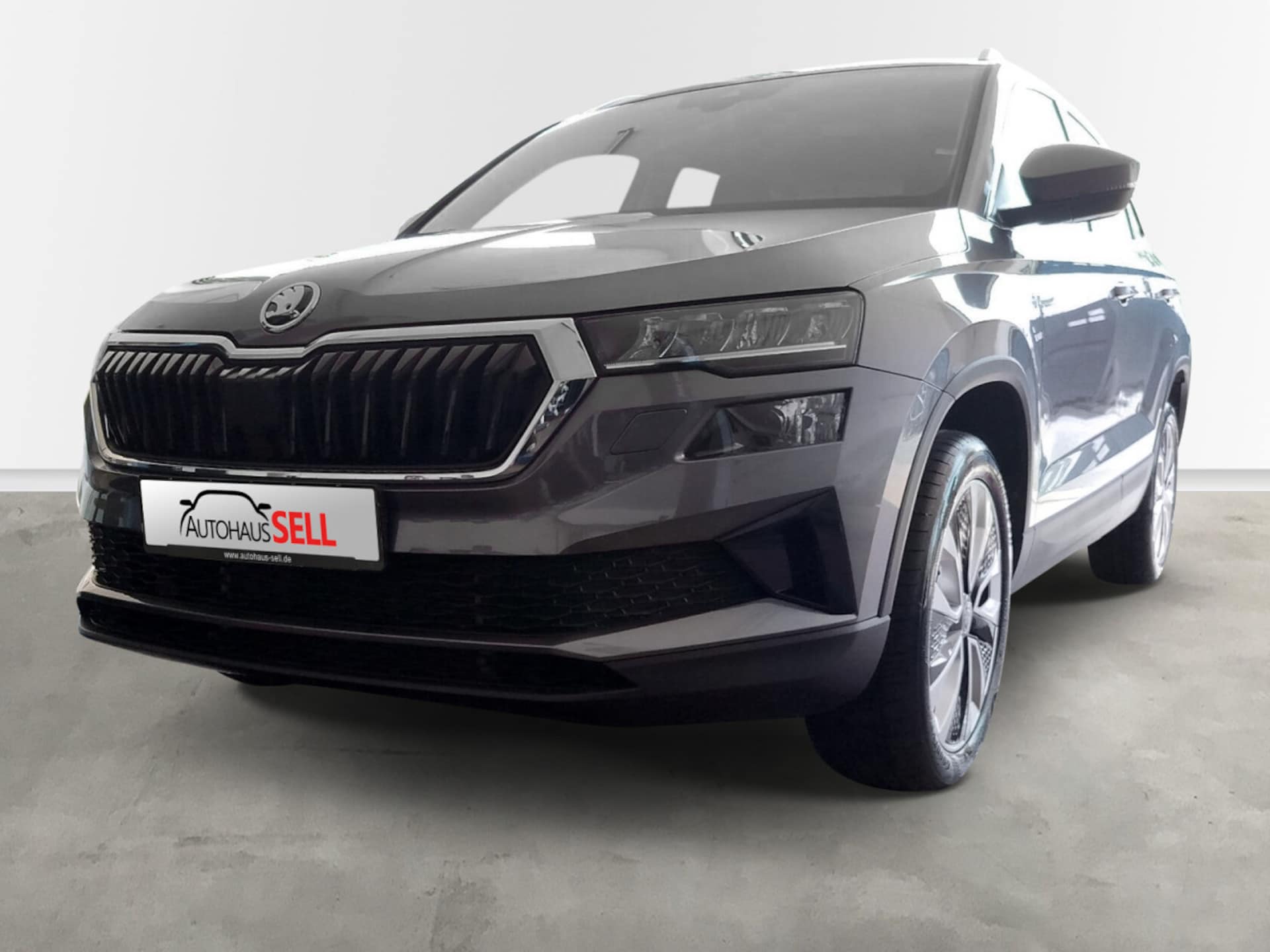 Skoda Karoq Selection