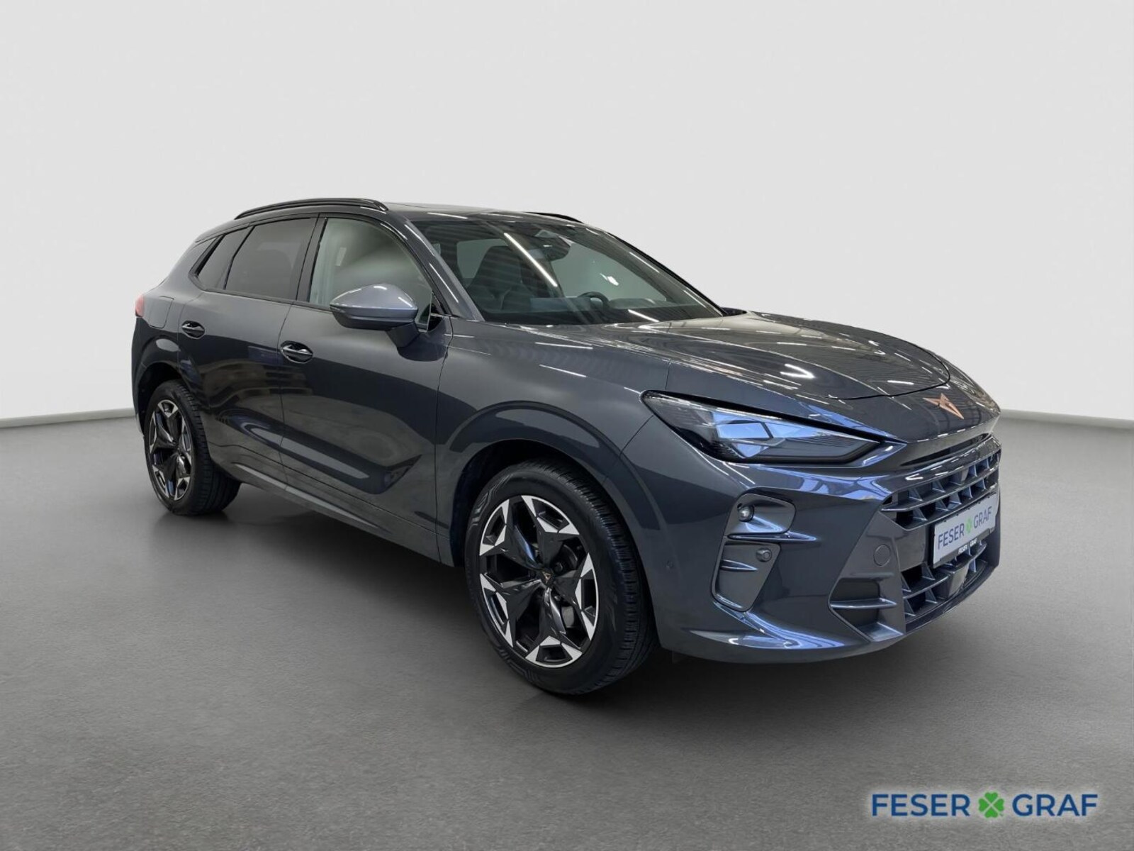 CUPRA Terramar – Bild 2