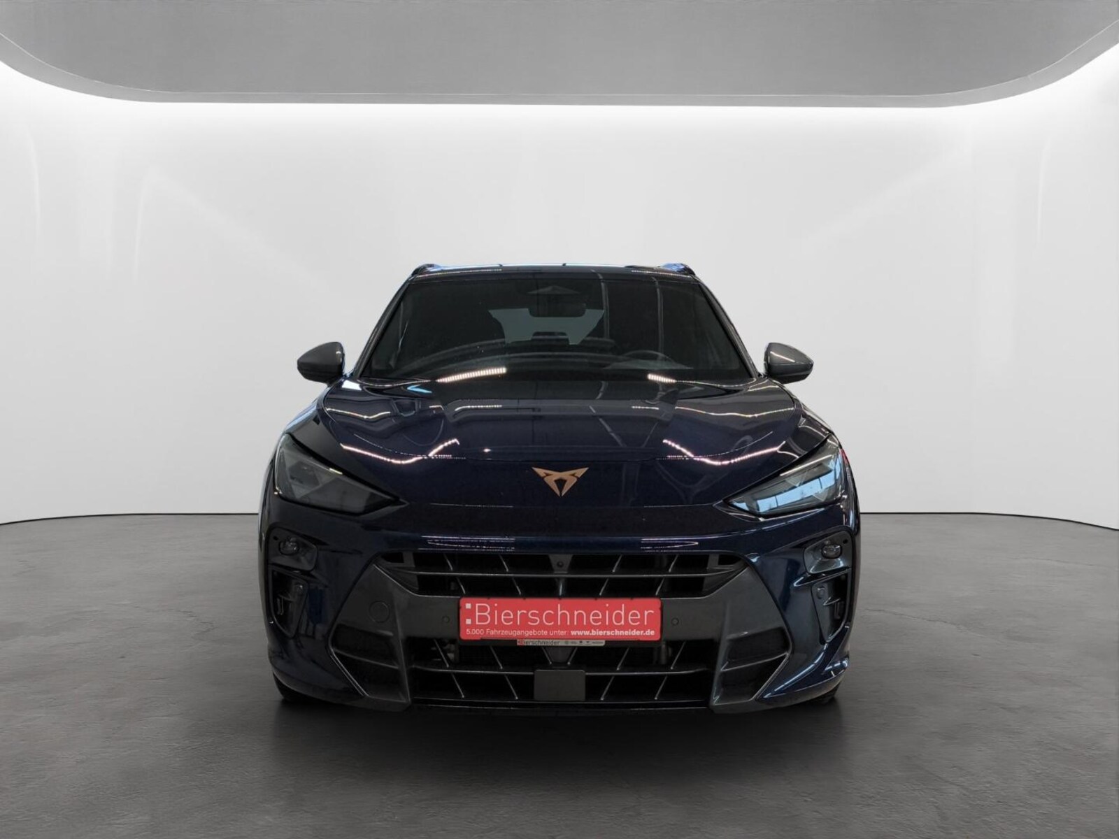 CUPRA Terramar – Bild 3