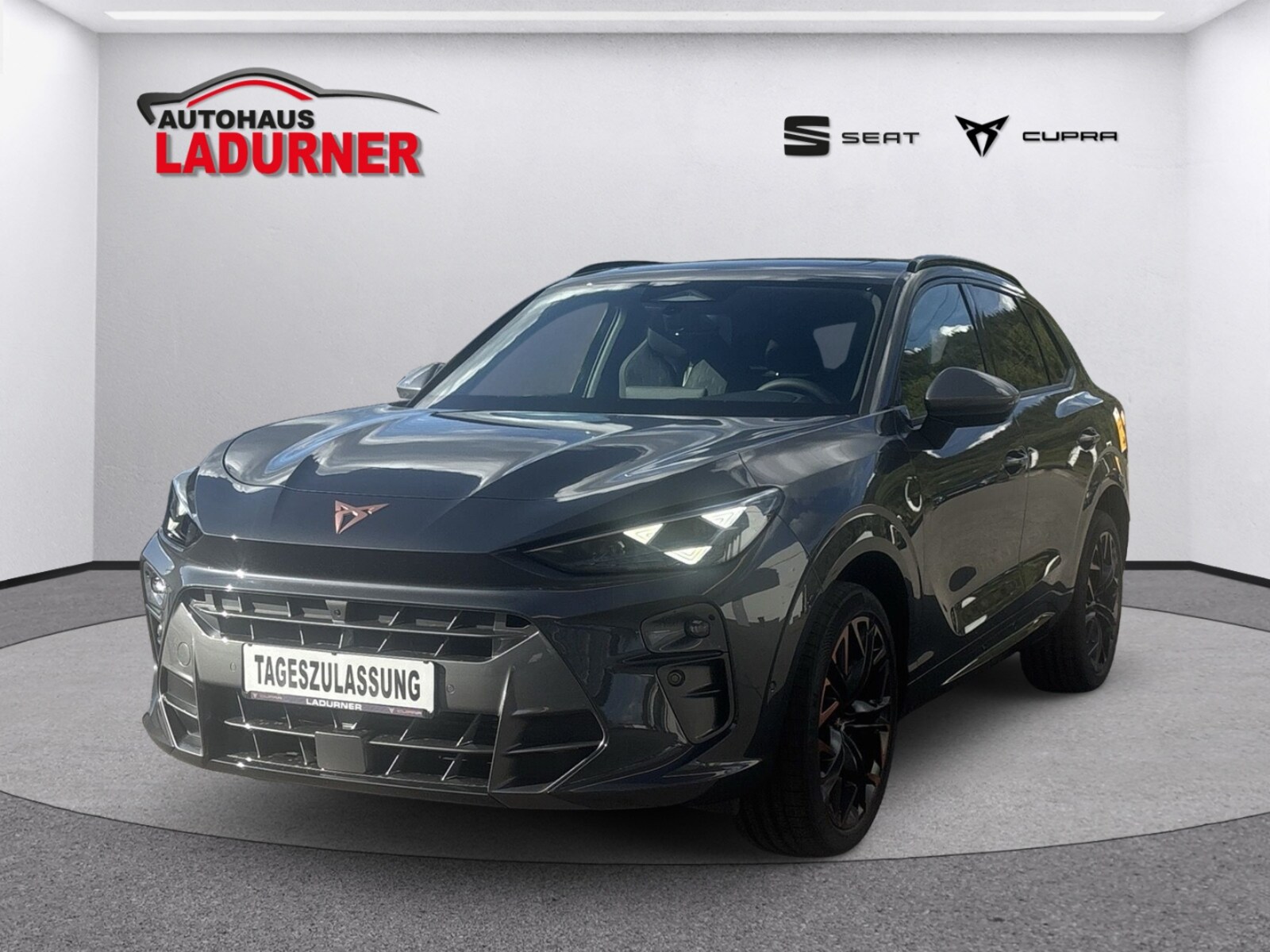 CUPRA Terramar – Bild 2