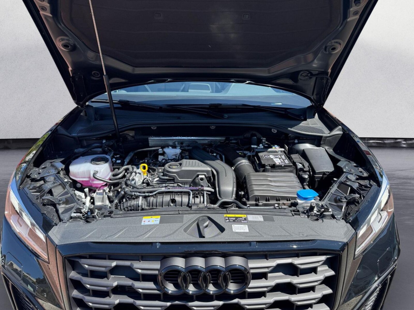 Audi Q2 – Bild 11