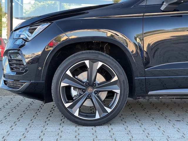 Bild des Autos 12