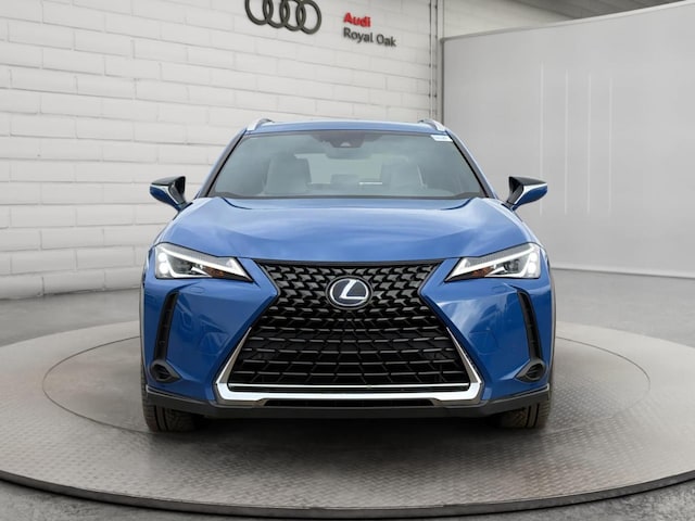 2019 Lexus UX 250h