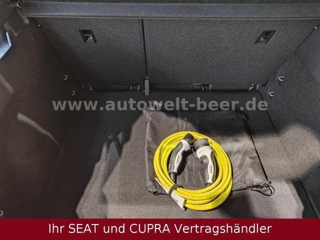 Bild des Autos 11