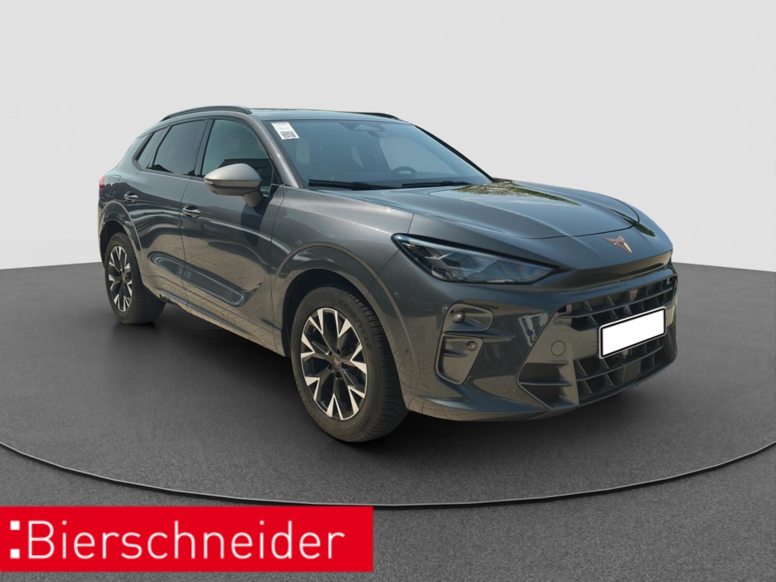 CUPRA Terramar – Bild 9