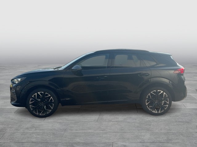 Bild des Autos 2
