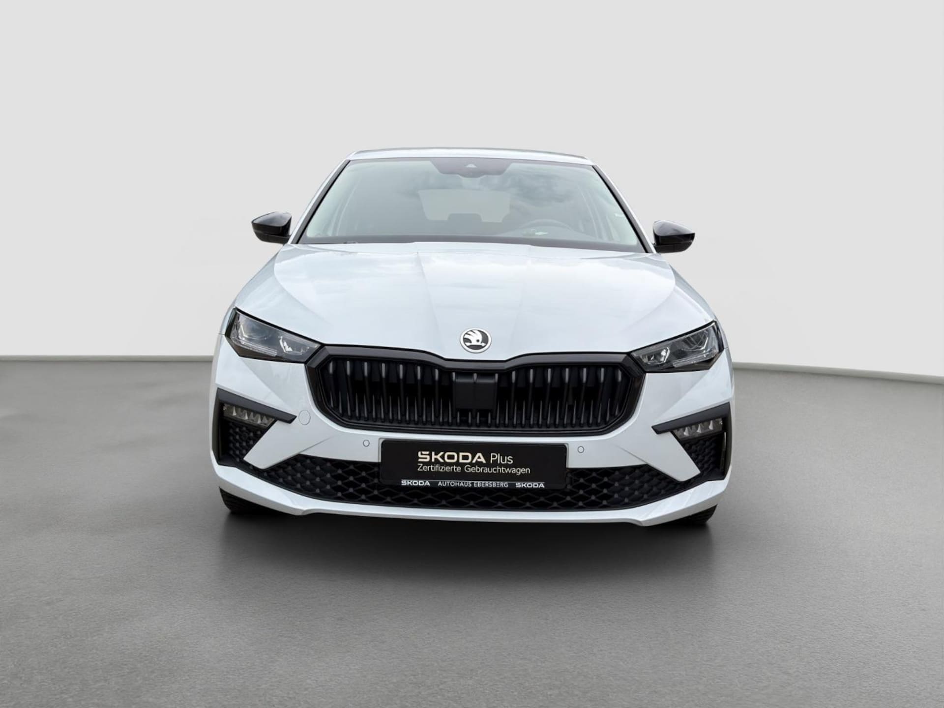 Skoda Scala Tour