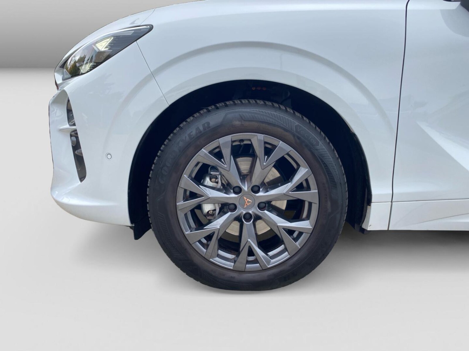 CUPRA Terramar – Bild 4