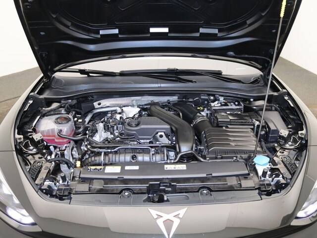 Bild des Autos 19