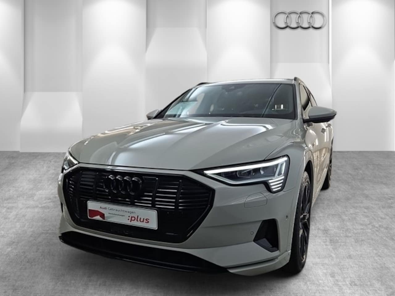 Audi e-tron occasion