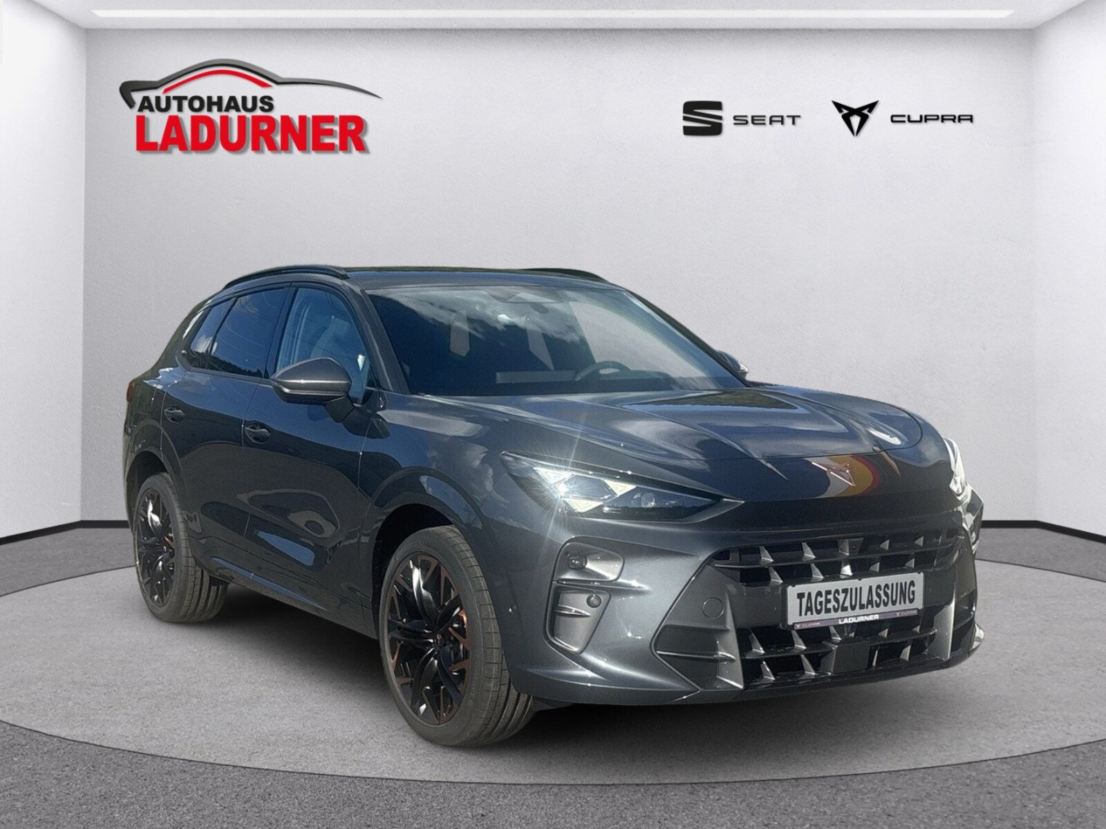 CUPRA Terramar – Bild 9