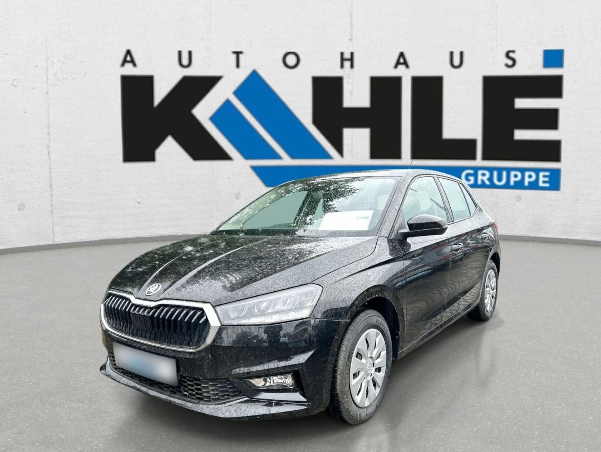Skoda Fabia Selection