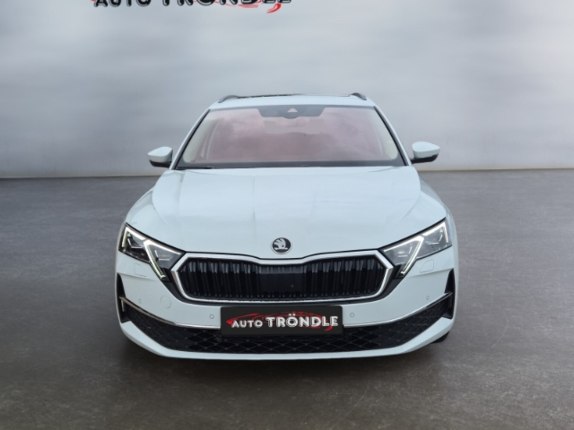 Skoda Octavia Combi Tour