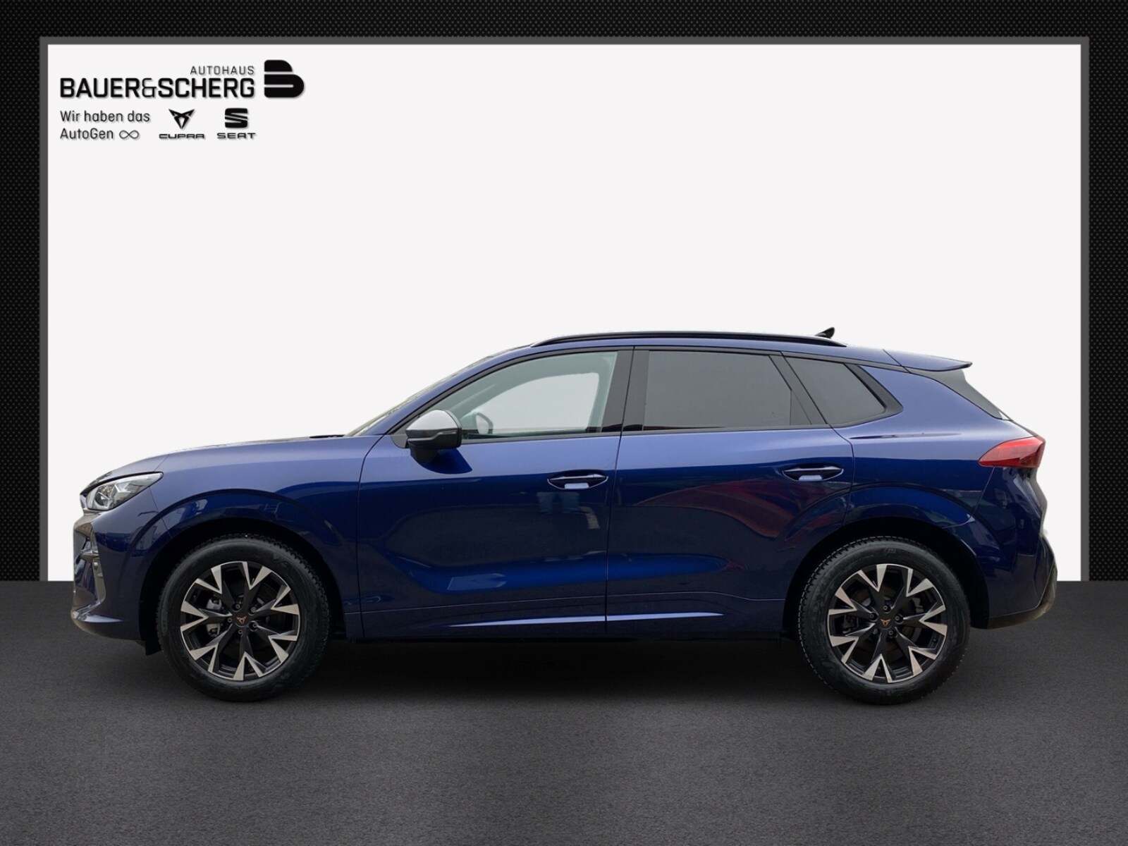 CUPRA Terramar – Bild 2