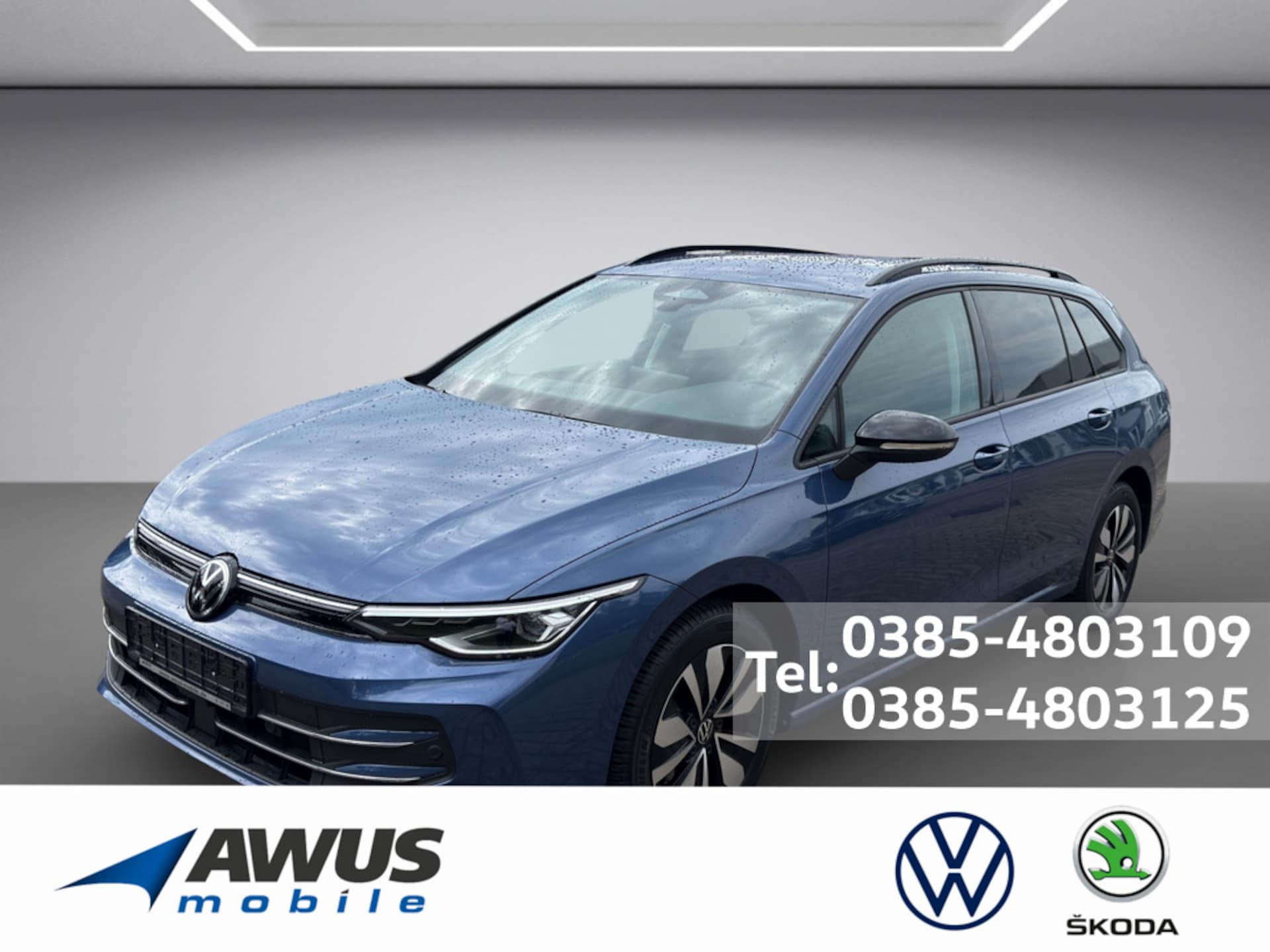 Volkswagen Golf Variant Goal