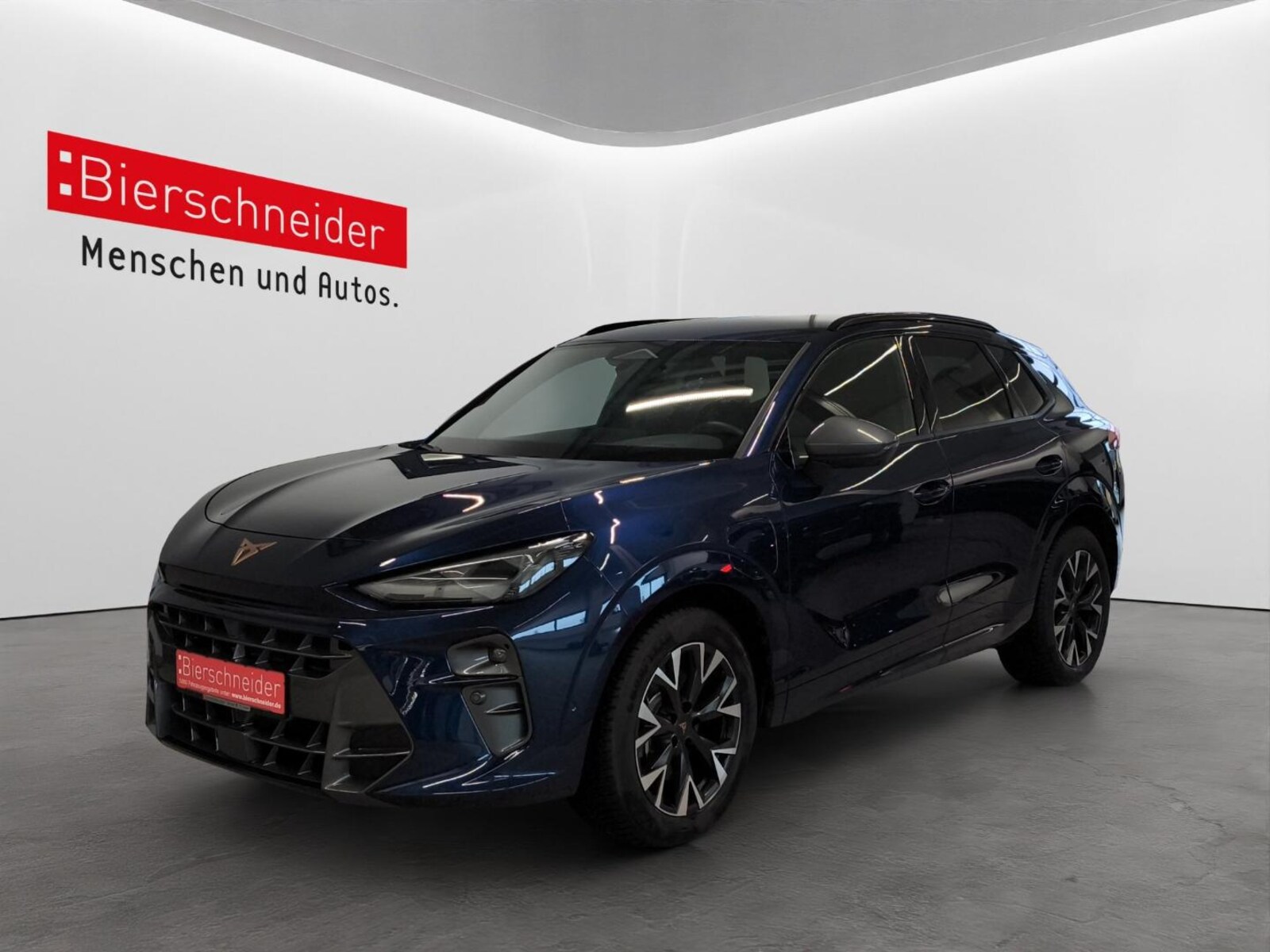 CUPRA Terramar – Bild 2