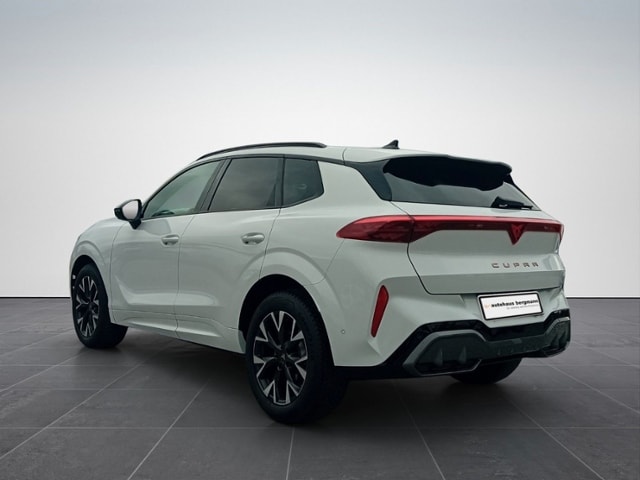 Bild des Autos 4
