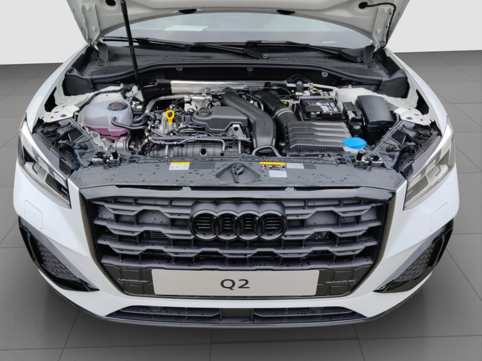 Audi Q2 – Bild 19