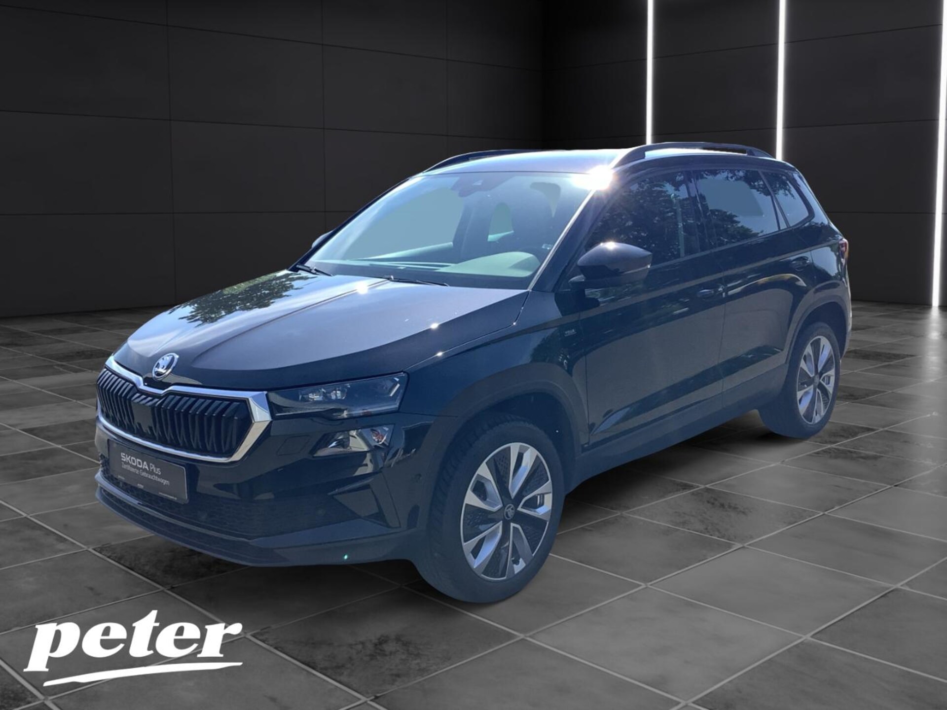 Skoda Karoq Selection