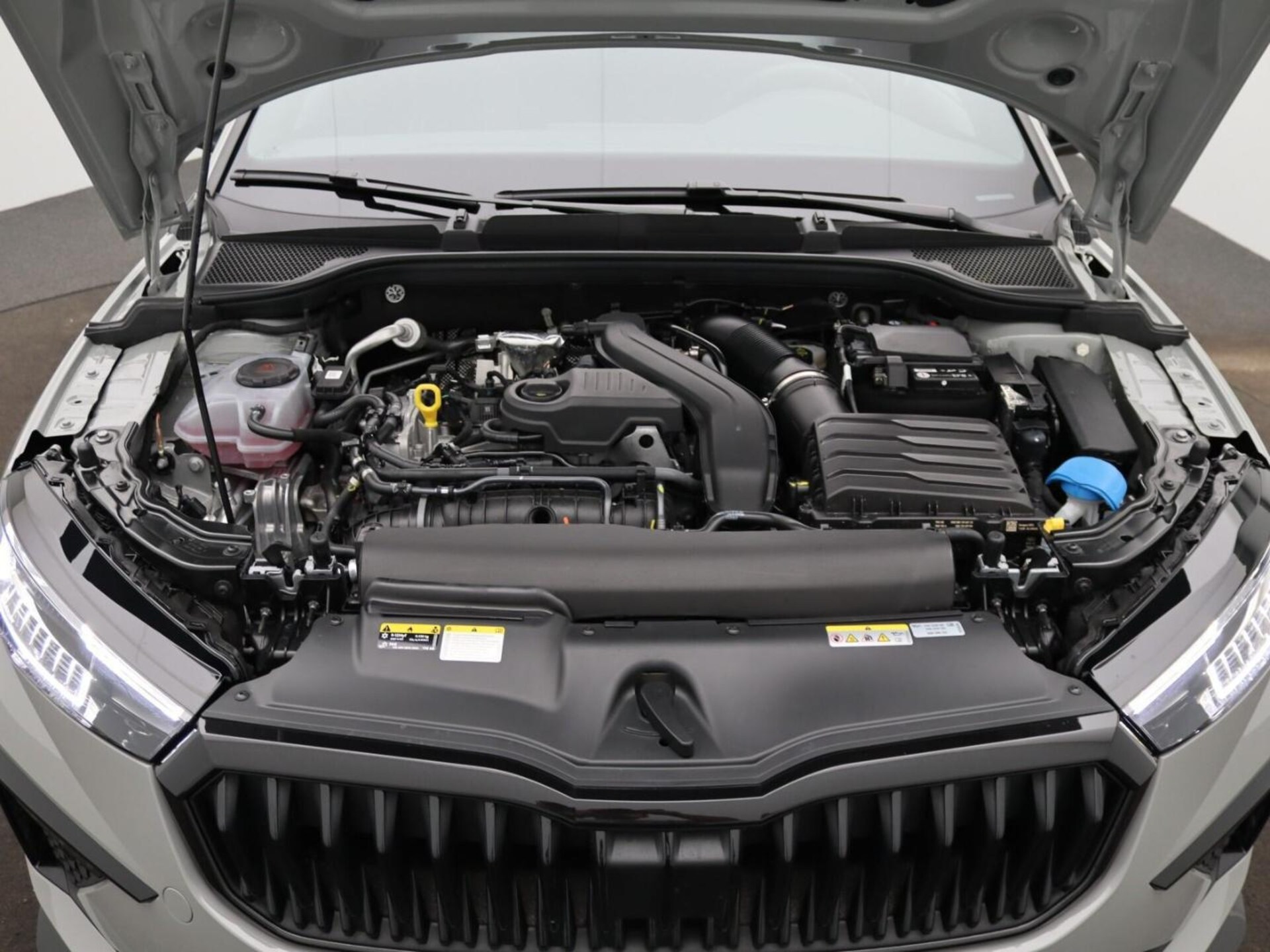 Skoda Scala Monte Carlo