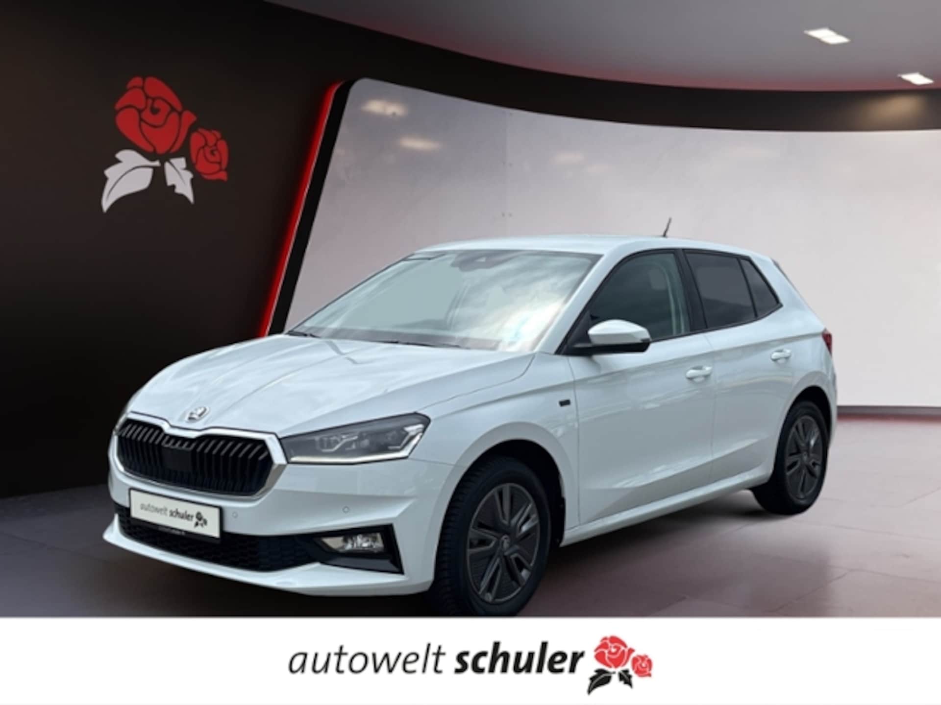 Skoda Fabia Tour