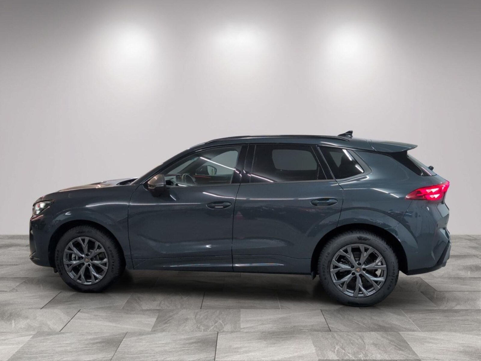 CUPRA Terramar – Bild 4
