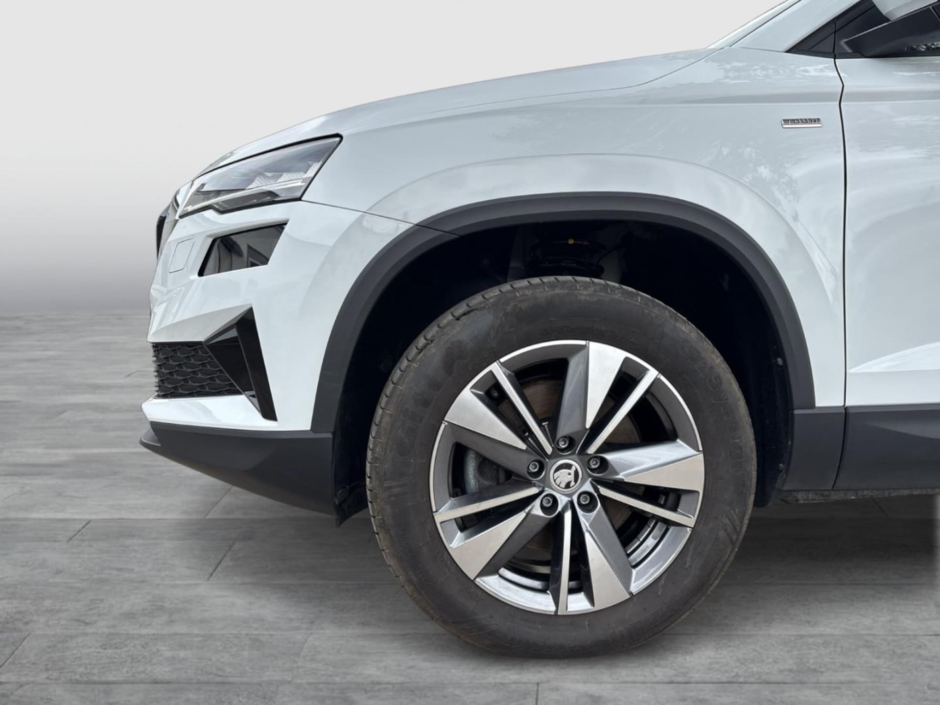Skoda Karoq Ambition