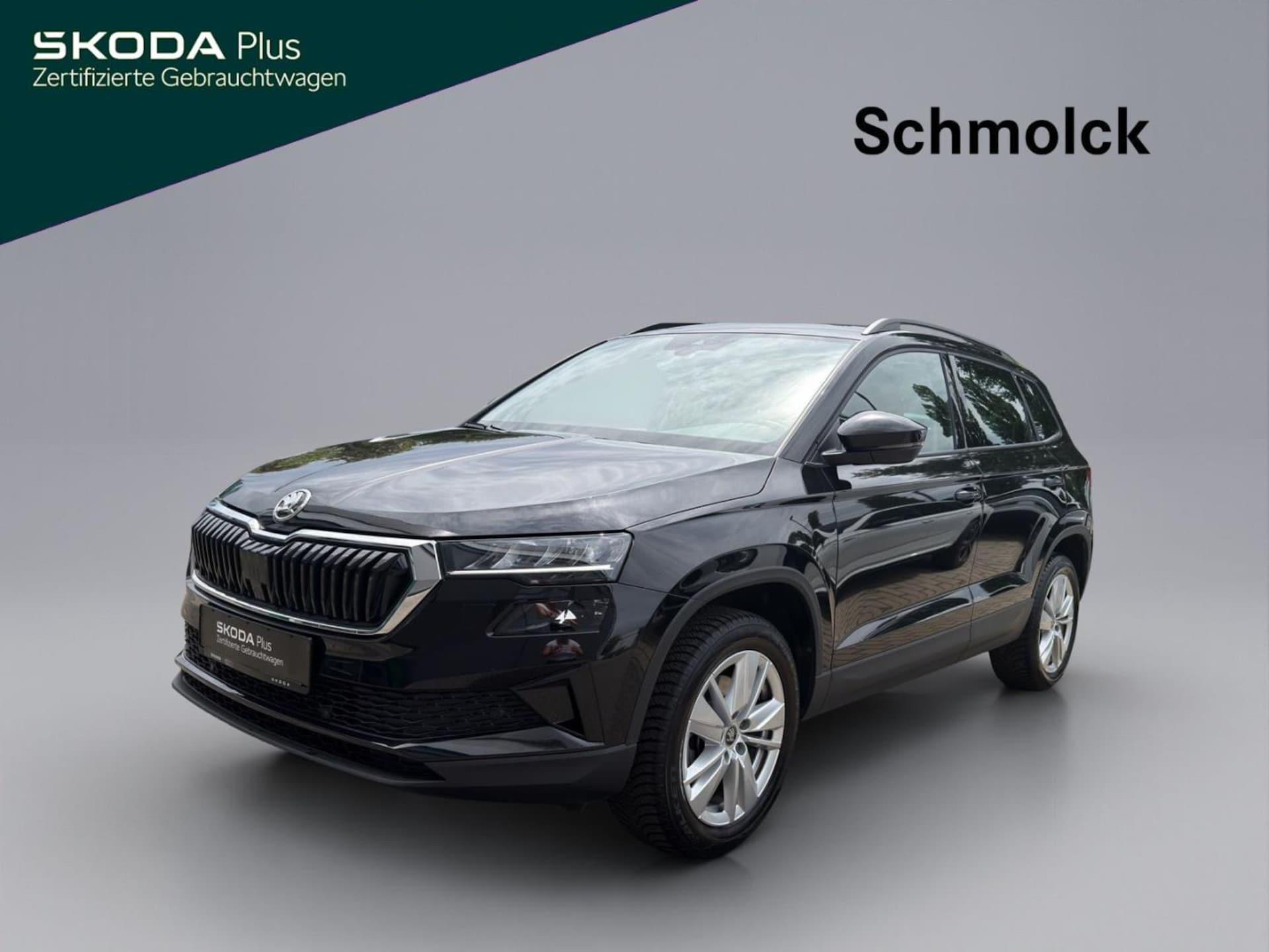 Skoda Karoq Selection