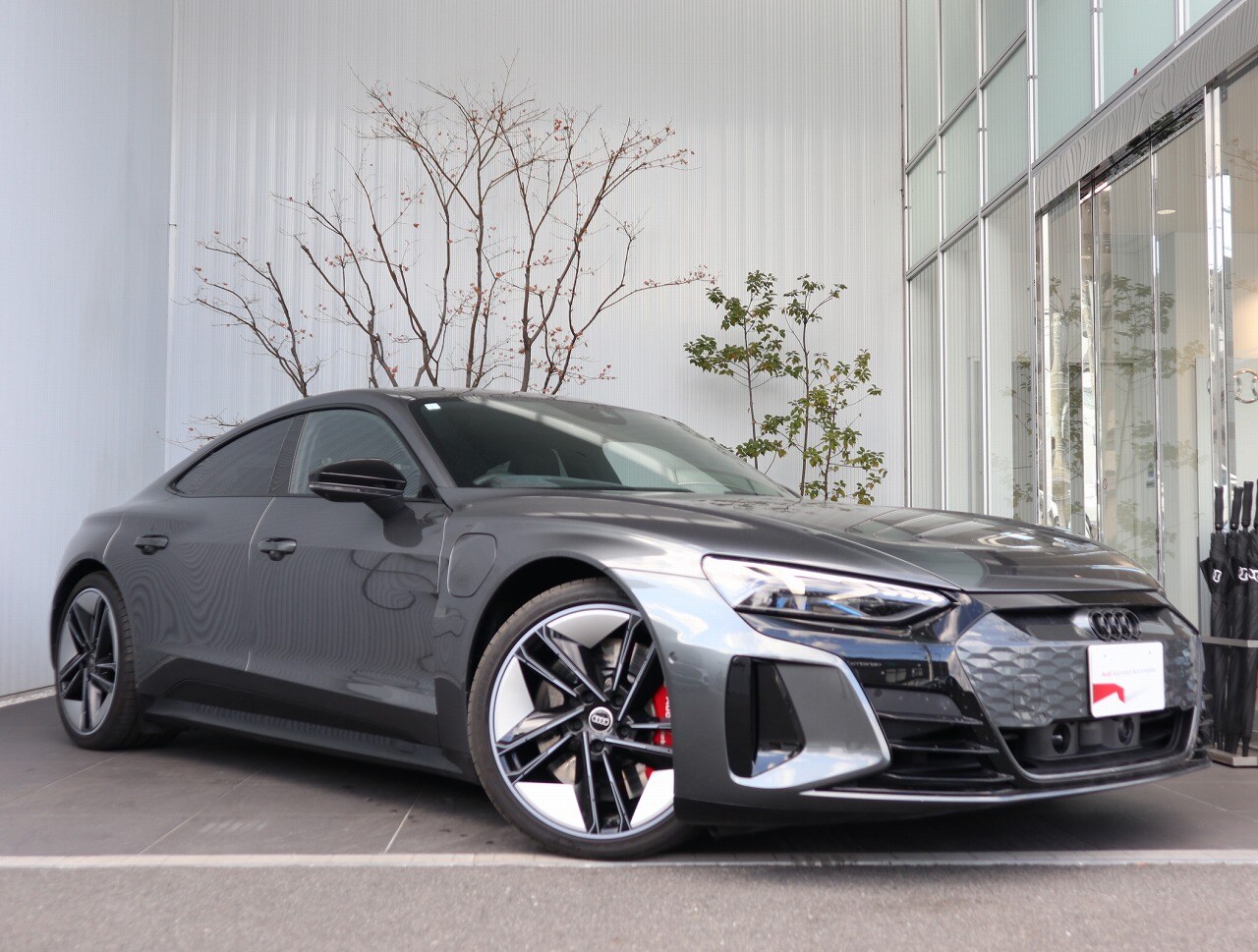 Audi RS e-tron GT