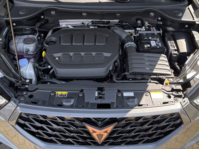 Bild des Autos 13