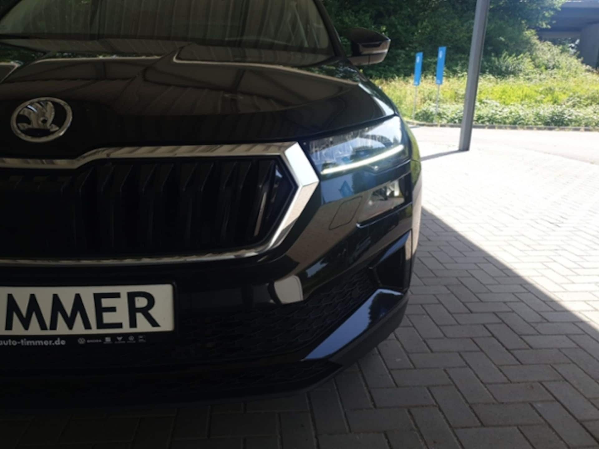 Skoda Karoq Style