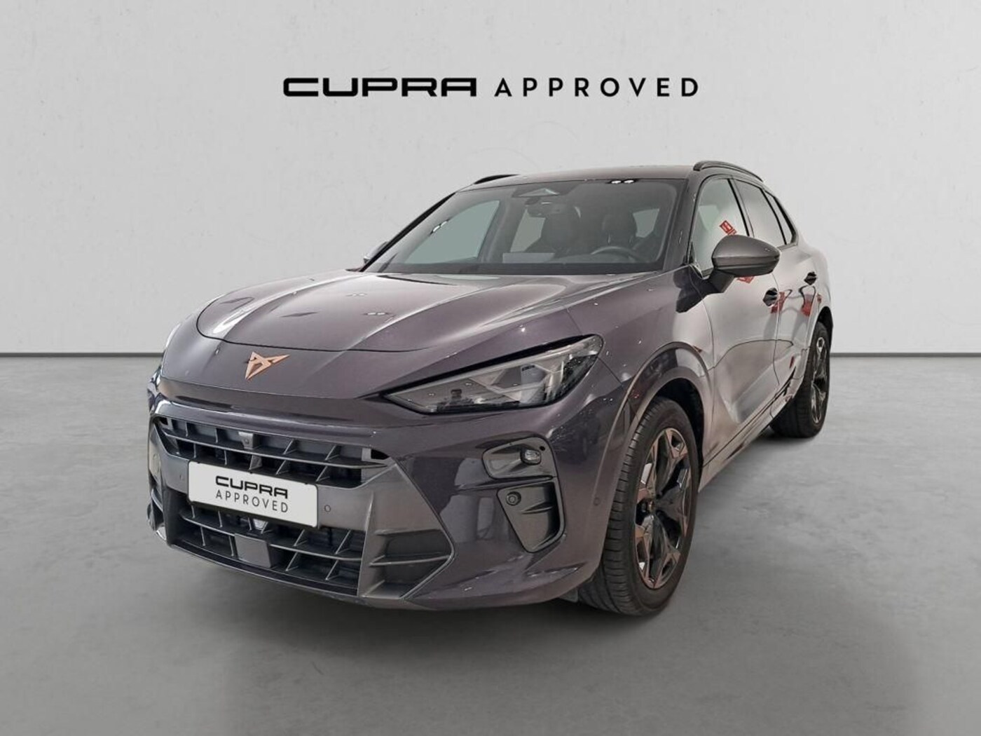 CUPRA Terramar 1.5 eTSI DSG 110 kW (150 CV) — photo 13