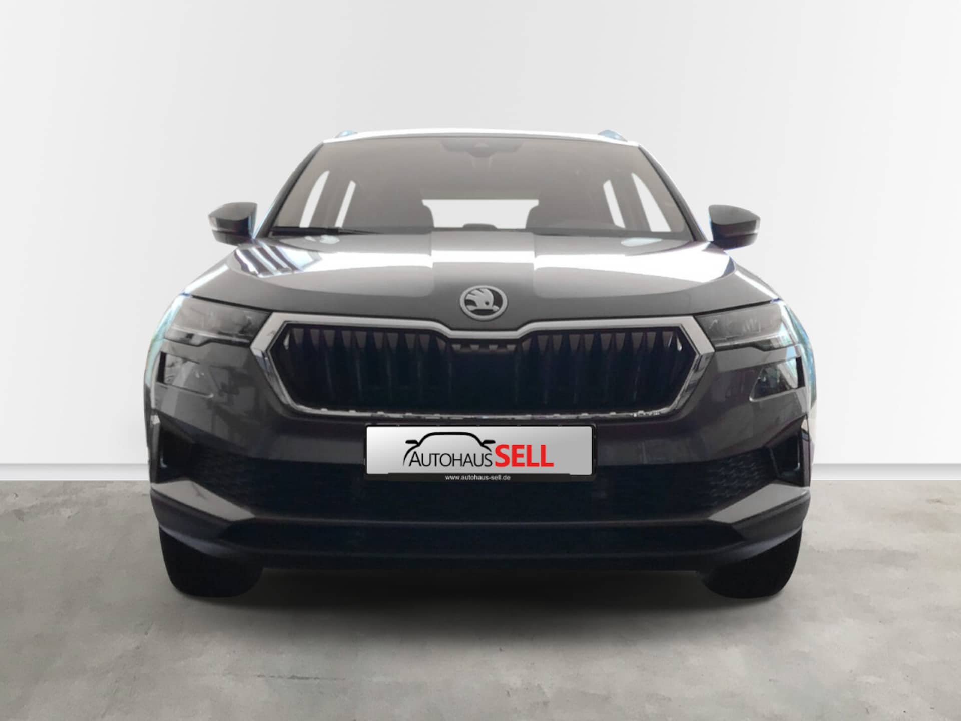 Skoda Karoq Selection