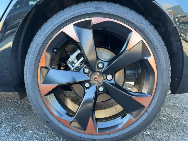 Bild des Autos 12